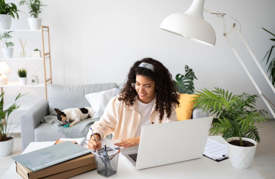 cum sa faci bani acasa